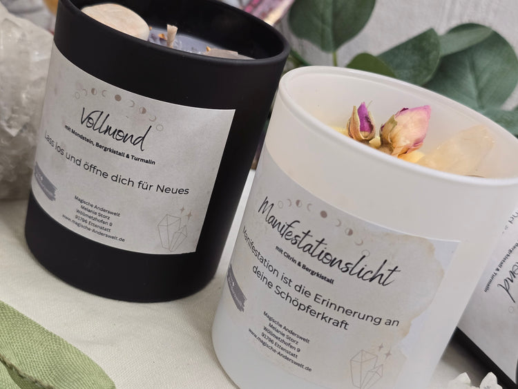 Neu im Shop