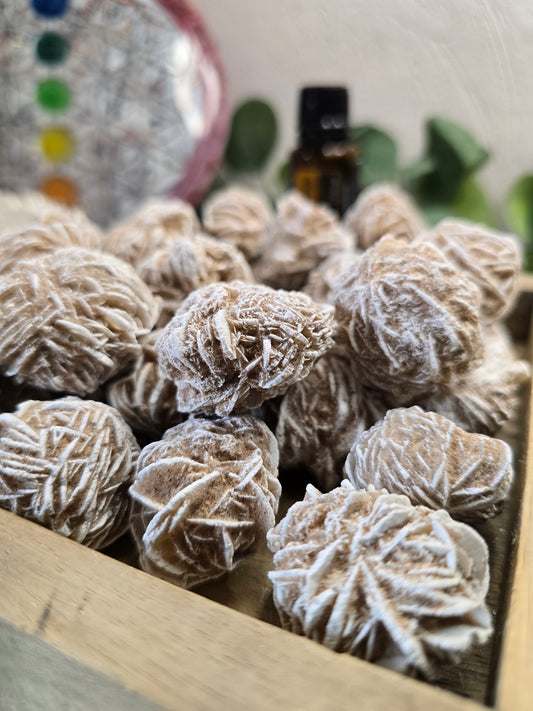 Sandrose aus Mexiko – ca. 3–4 cm Natur-Unikat