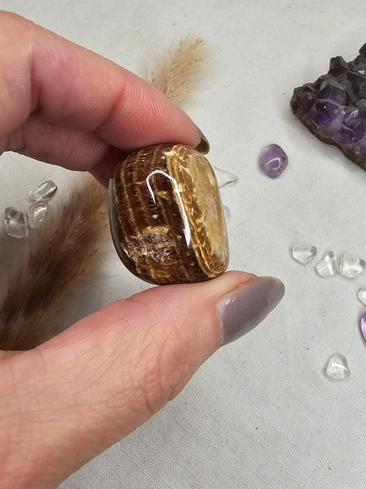 Aragonit Trommelstein ca. 2–3 cm – intuitiv ausgewählt, naturbelassen & stärkend