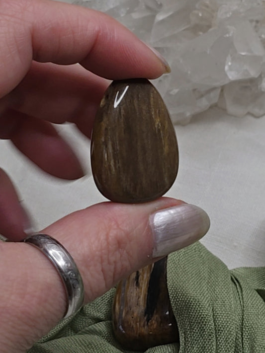 Versteinertes Holz – gebohrter Trommelstein