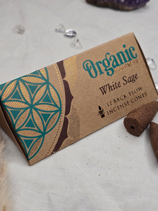 Masala Rückflusskegel Weißer Salbei