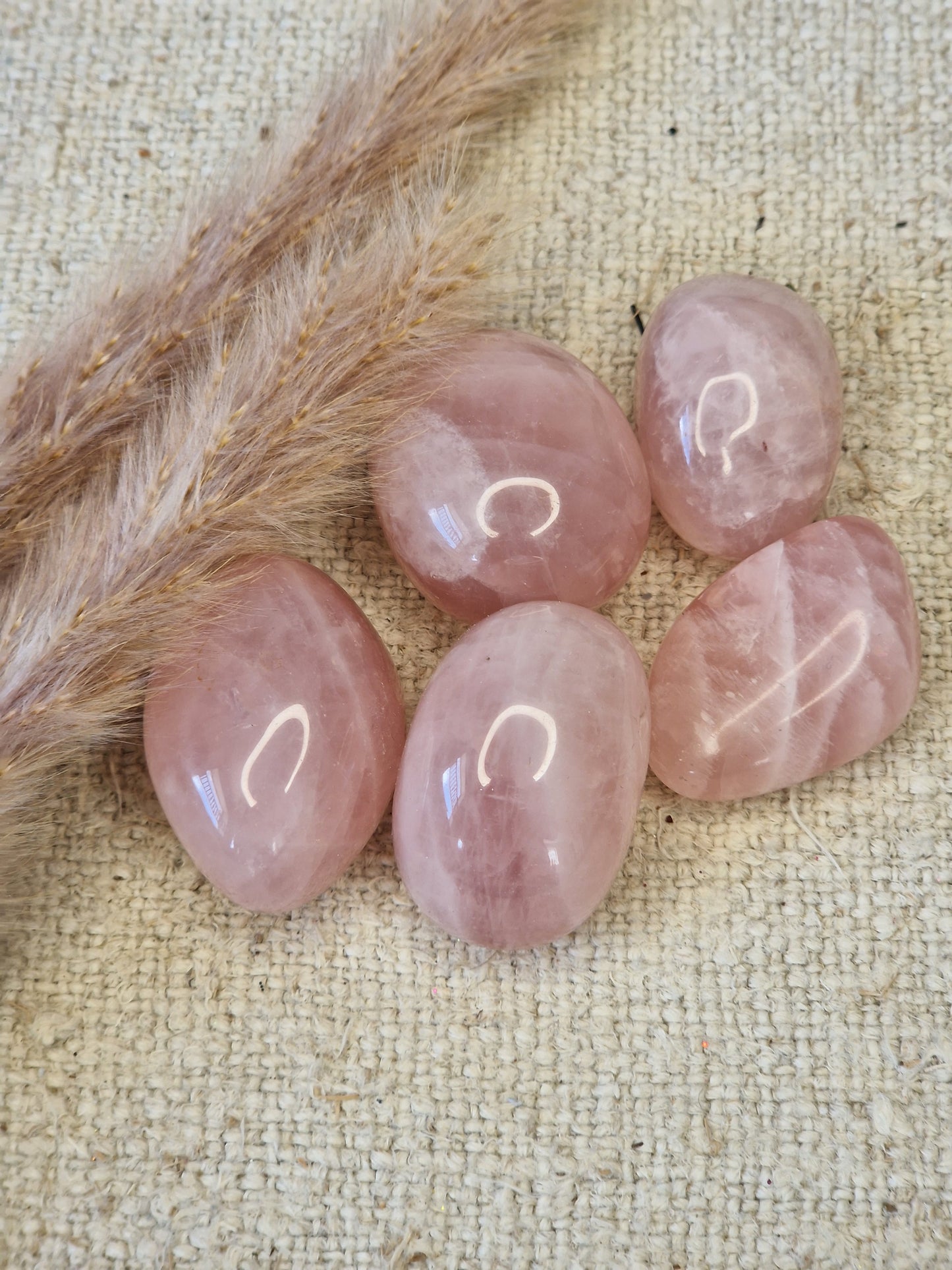 Rosenquarz Trommelstein ca. 2 × 3 cm – naturbelassen, intuitiv ausgewählt & sanft fürs Herz