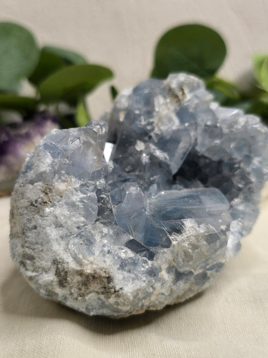 Coelestin Druse – himmelblaue Kristalle 11 × 8 cm