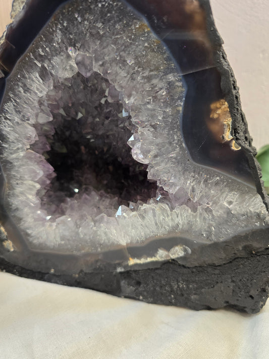 Amethystdruse – 6,5 kg aus Brasilien mit Achatrand