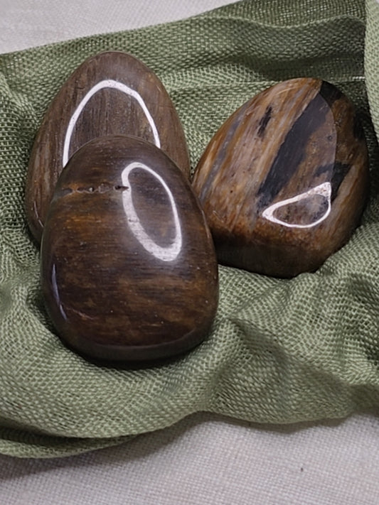 Versteinertes Holz – gebohrter Trommelstein