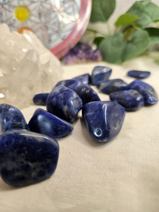 Sodalith Trommelstein – ca. 2–3 cm Natur-Unikat