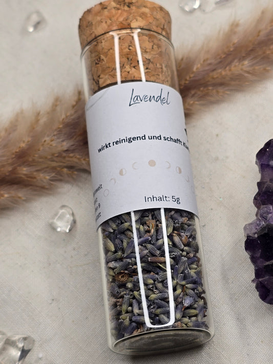 Lavendel