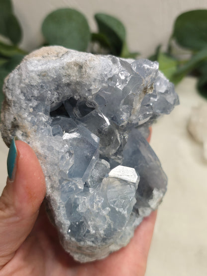 Coelestin Druse – himmelblaue Kristalle 11 × 8 cm