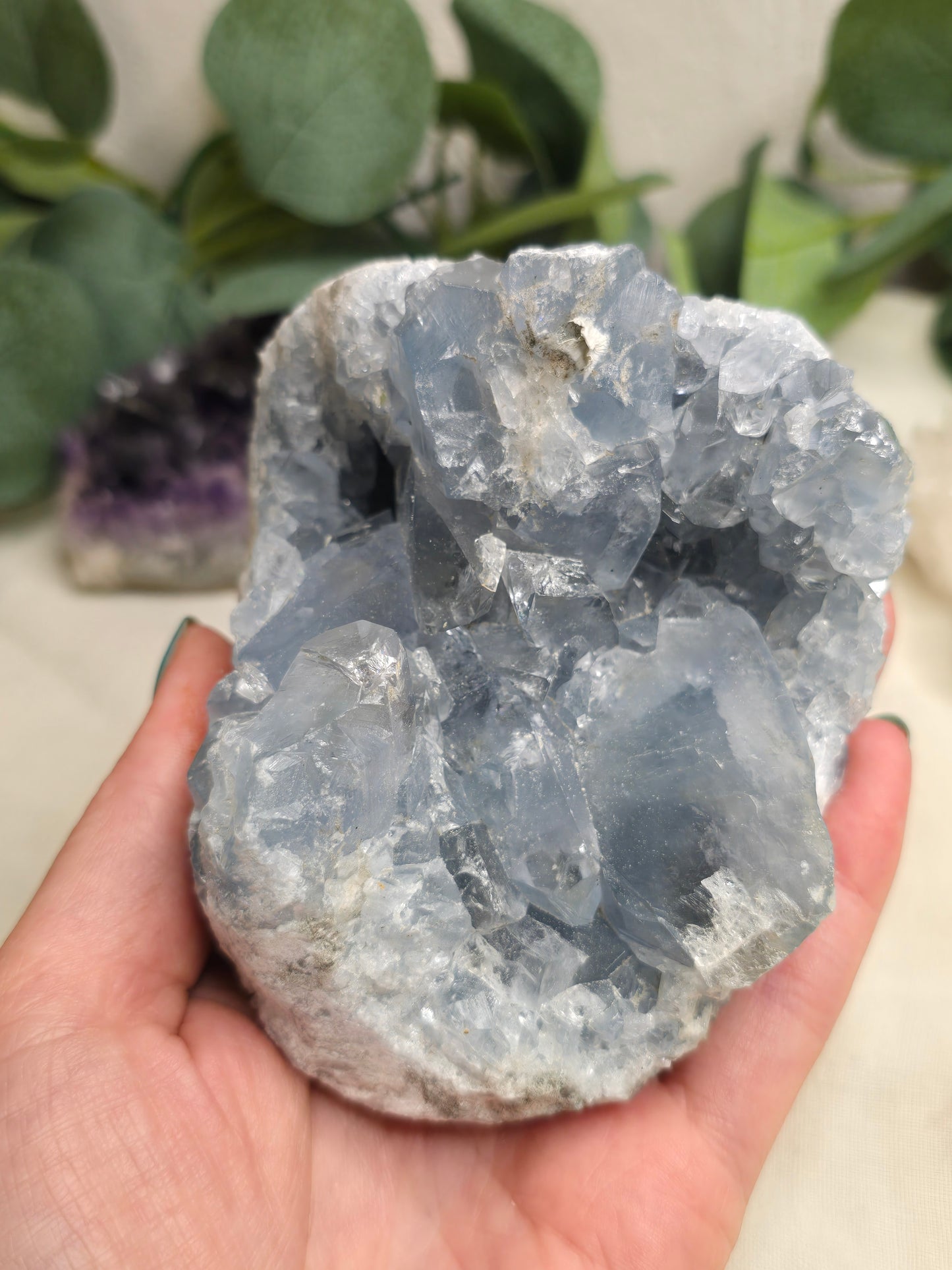 Coelestin Druse – himmelblaue Kristalle 11 × 8 cm