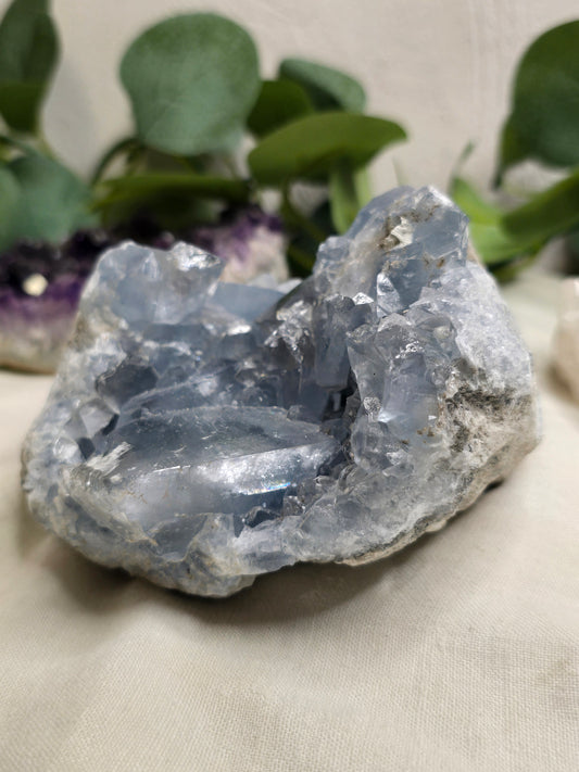 Coelestin Druse – himmelblaue Kristalle 11 × 8 cm