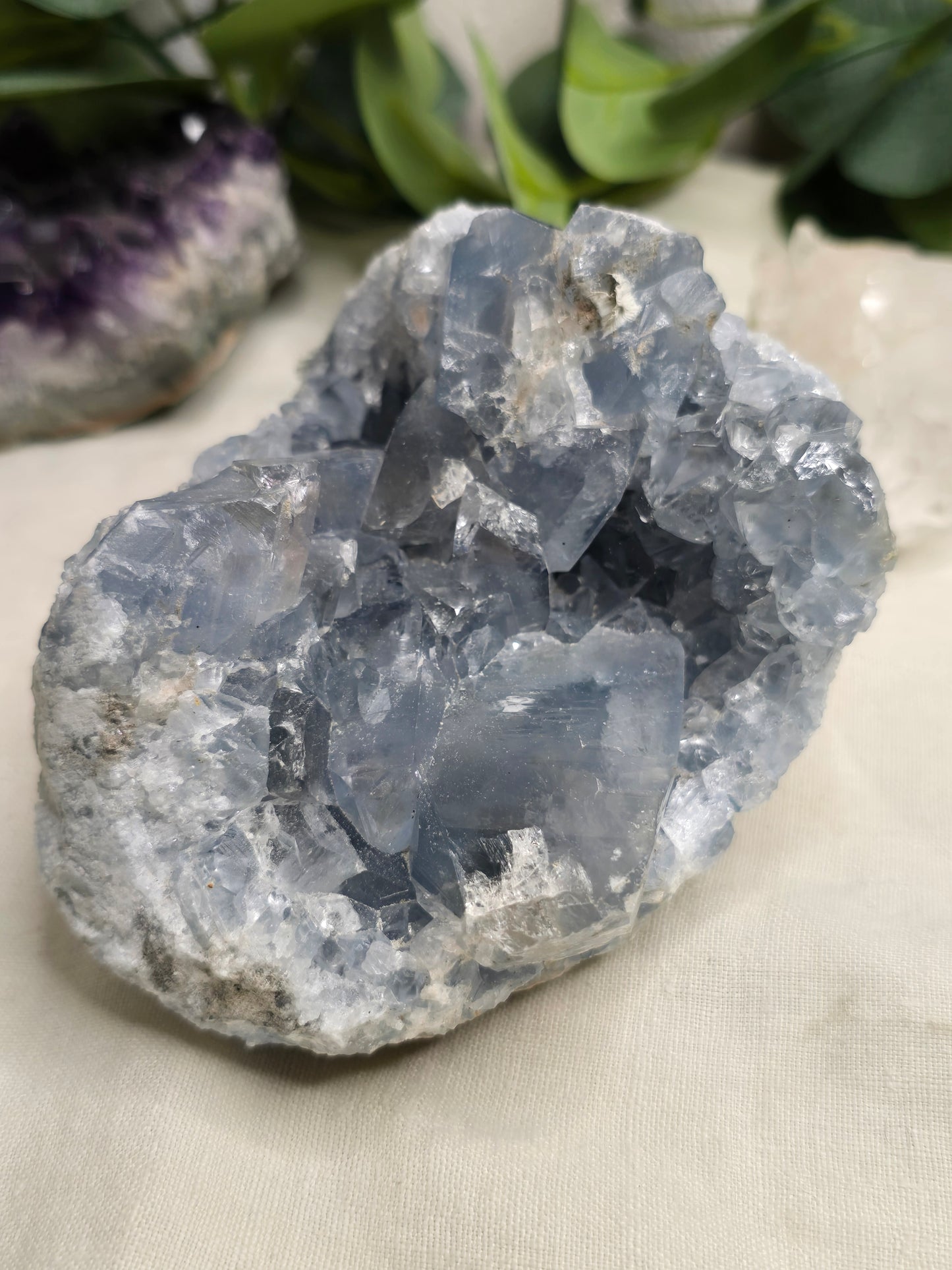 Coelestin Druse – himmelblaue Kristalle 11 × 8 cm