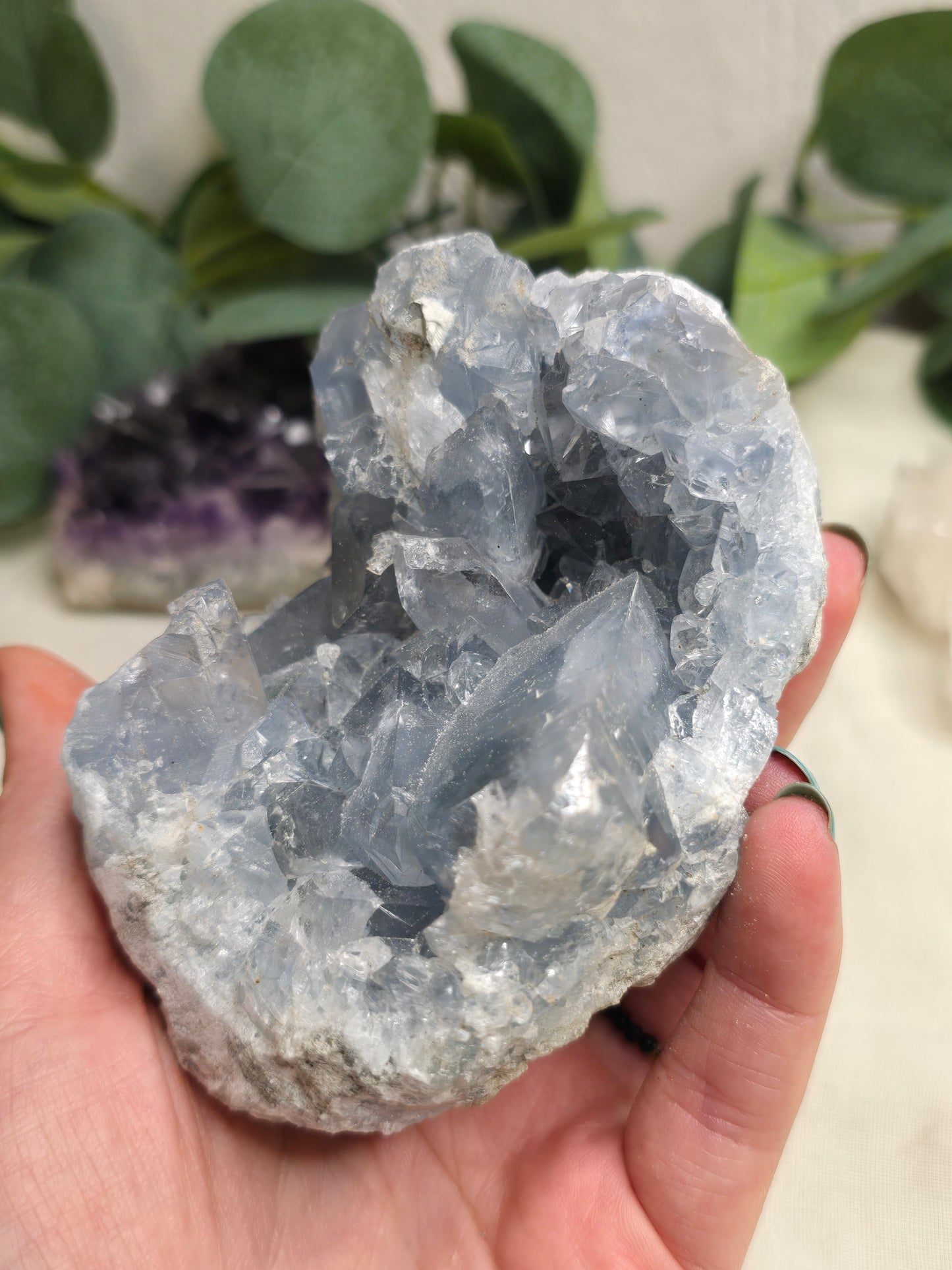 Coelestin Druse – himmelblaue Kristalle 11 × 8 cm
